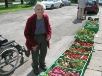 Nákup kvetín - p. Kútiková Alžbeta