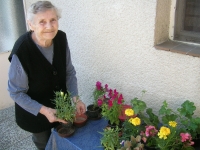 Presádzanie kvetov na balkóne - p. Kútiková Alžbeta